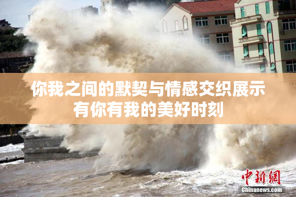 你我之间的默契与情感交织展示有你有我的美好时刻