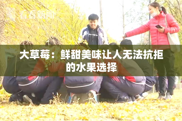 大草莓：鲜甜美味让人无法抗拒的水果选择
