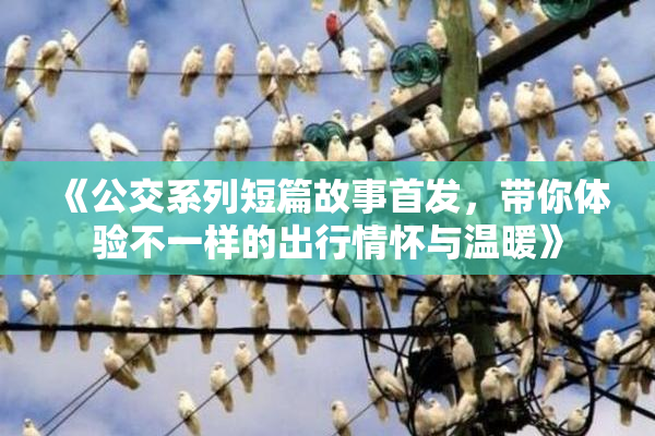 《公交系列短篇故事首发，带你体验不一样的出行情怀与温暖》