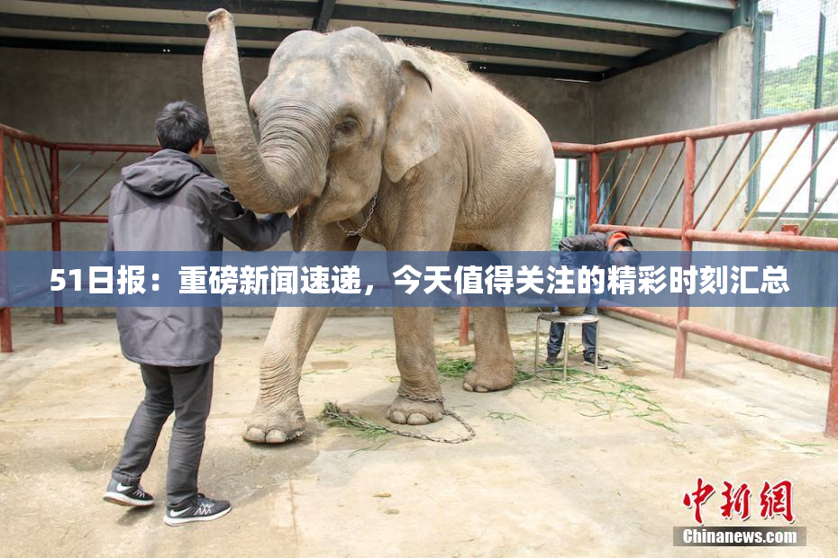 51日报：重磅新闻速递，今天值得关注的精彩时刻汇总