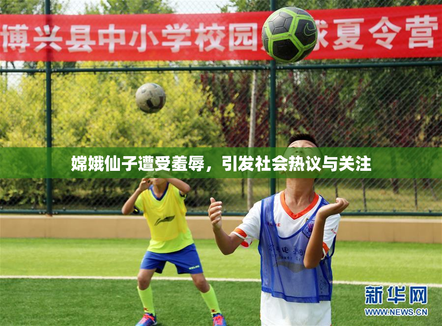 嫦娥仙子遭受羞辱，引发社会热议与关注
