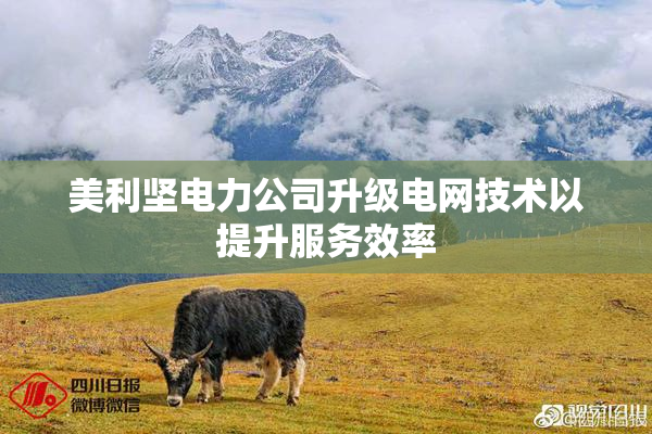 美利坚电力公司升级电网技术以提升服务效率