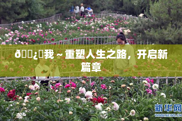 🌿‌我～重塑人生之路，开启新篇章
