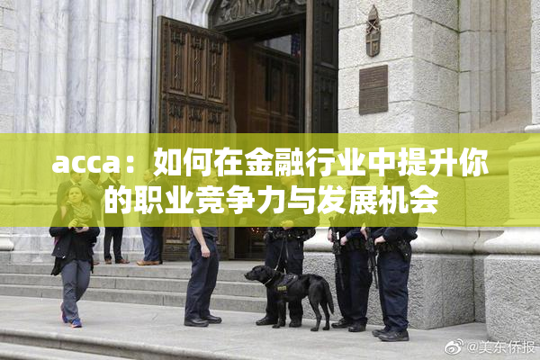 acca：如何在金融行业中提升你的职业竞争力与发展机会