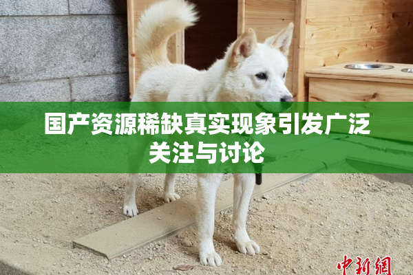 国产资源稀缺真实现象引发广泛关注与讨论