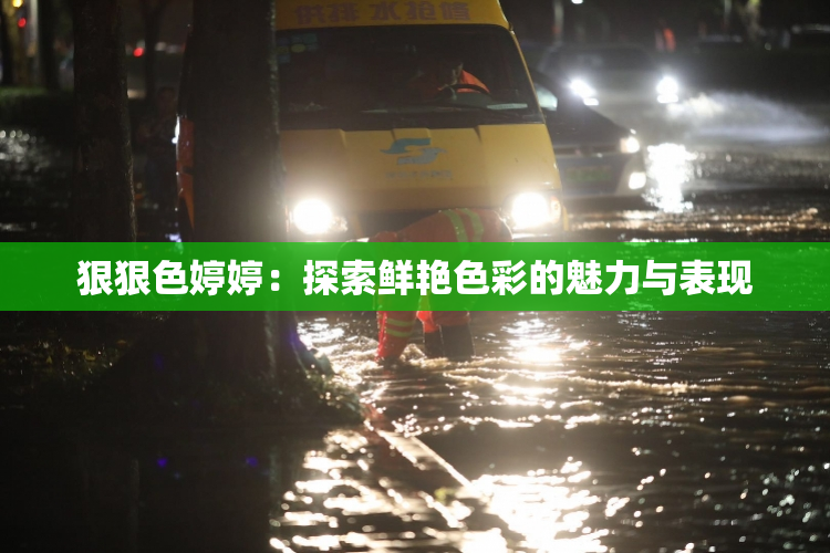 狠狠色婷婷：探索鲜艳色彩的魅力与表现