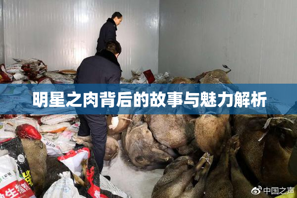 明星之肉背后的故事与魅力解析