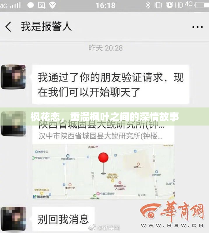 枫花恋，重温枫叶之间的深情故事