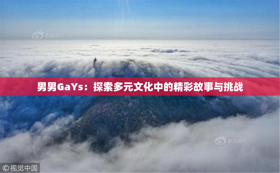 男男GaYs：探索多元文化中的精彩故事与挑战