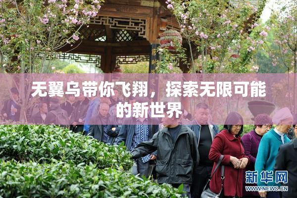 无翼乌带你飞翔，探索无限可能的新世界