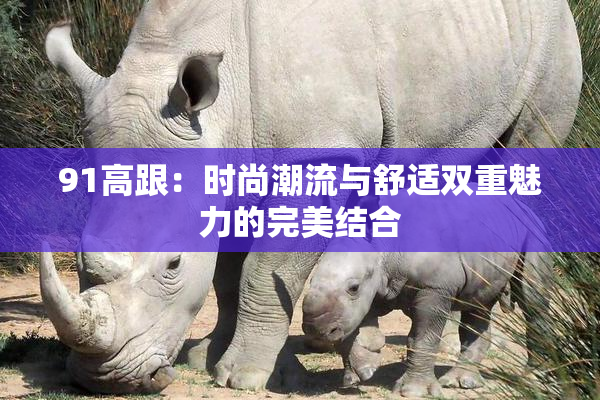 91高跟：时尚潮流与舒适双重魅力的完美结合