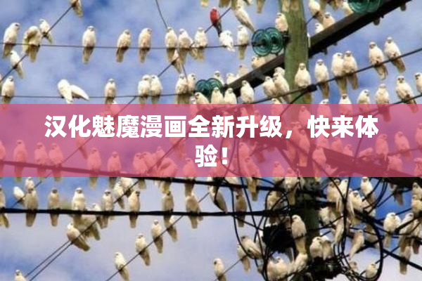 汉化魅魔漫画全新升级，快来体验！