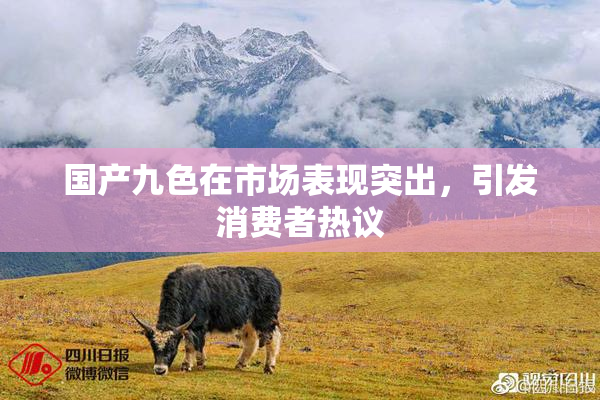 国产九色在市场表现突出，引发消费者热议