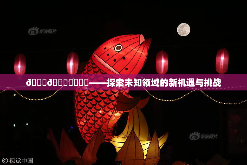 🍆🍑❌‌❌‌——探索未知领域的新机遇与挑战