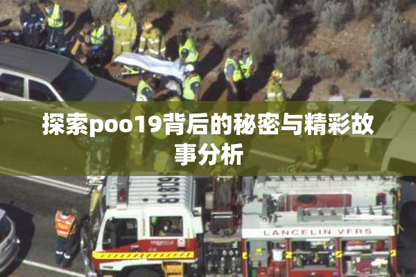 探索poo19背后的秘密与精彩故事分析