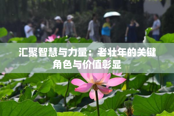 汇聚智慧与力量：老壮年的关键角色与价值彰显