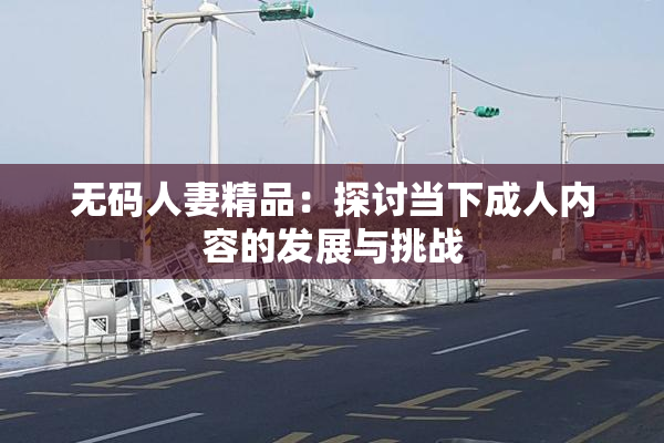 无码人妻精品：探讨当下成人内容的发展与挑战