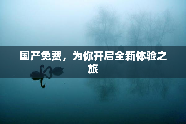 国产免费，为你开启全新体验之旅