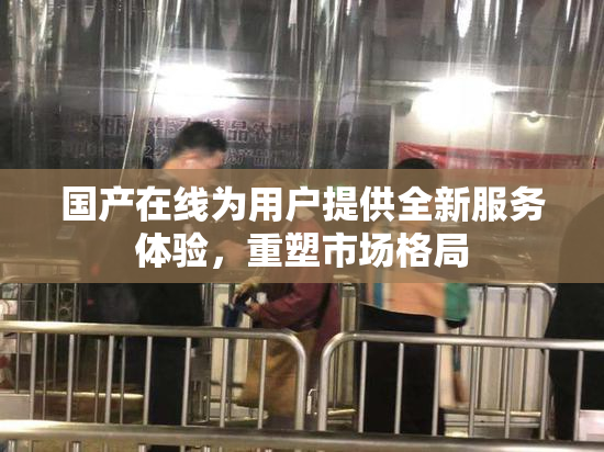 国产在线为用户提供全新服务体验，重塑市场格局