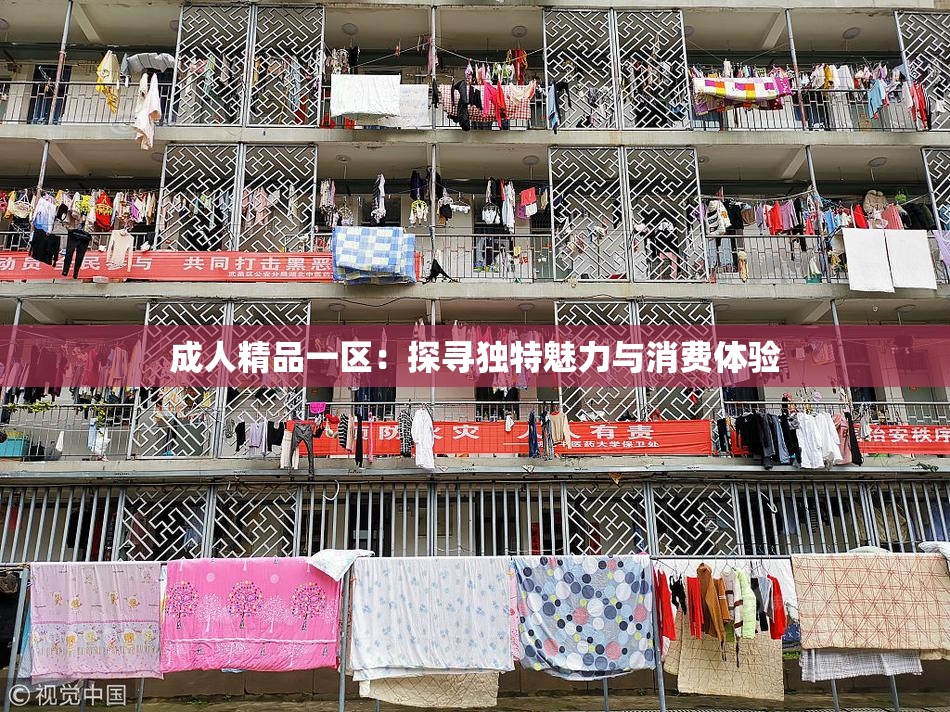 成人精品一区：探寻独特魅力与消费体验