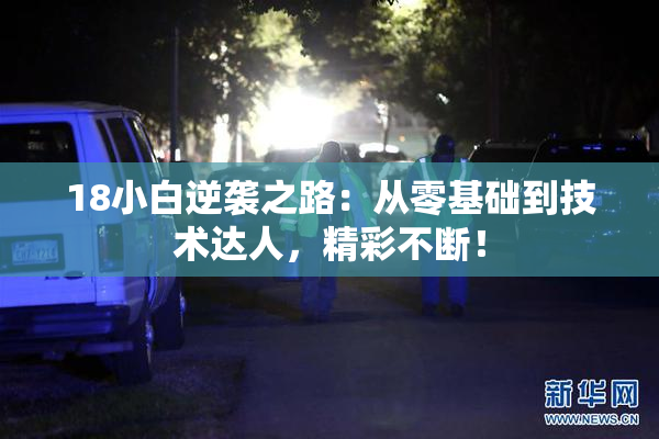 18小白逆袭之路：从零基础到技术达人，精彩不断！