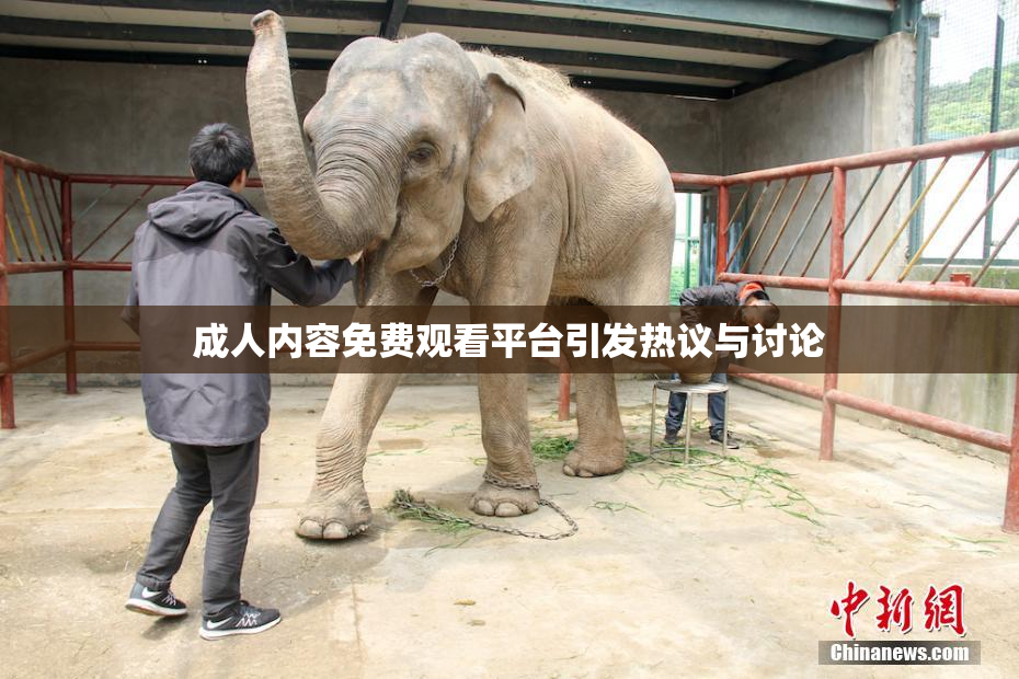 成人内容免费观看平台引发热议与讨论