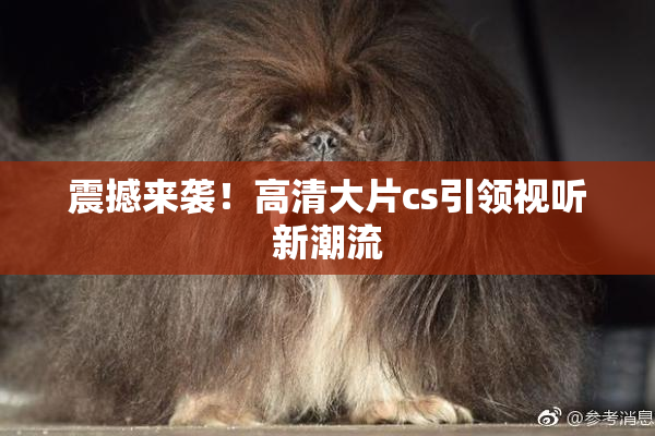 震撼来袭！高清大片cs引领视听新潮流