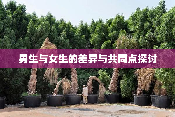 男生与女生的差异与共同点探讨