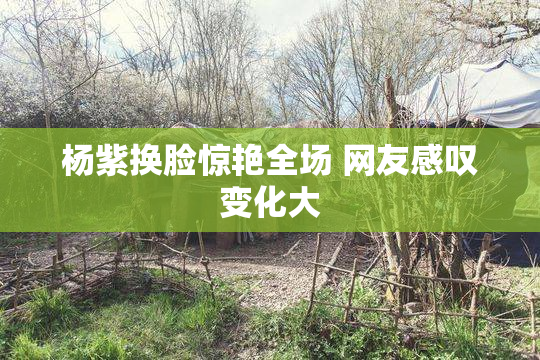 杨紫换脸惊艳全场 网友感叹变化大
