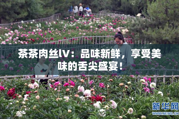 茶茶肉丝lV：品味新鲜，享受美味的舌尖盛宴！