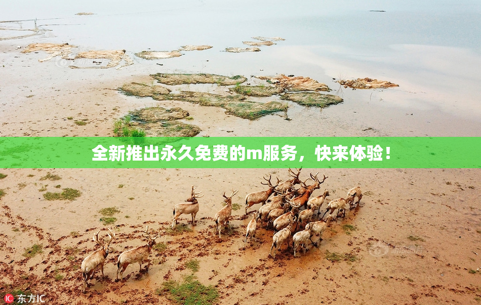 全新推出永久免费的m服务，快来体验！