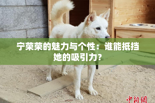 宁荣荣的魅力与个性：谁能抵挡她的吸引力？