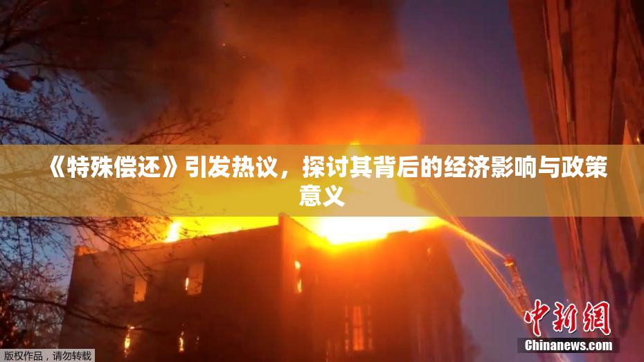 《特殊偿还》引发热议，探讨其背后的经济影响与政策意义