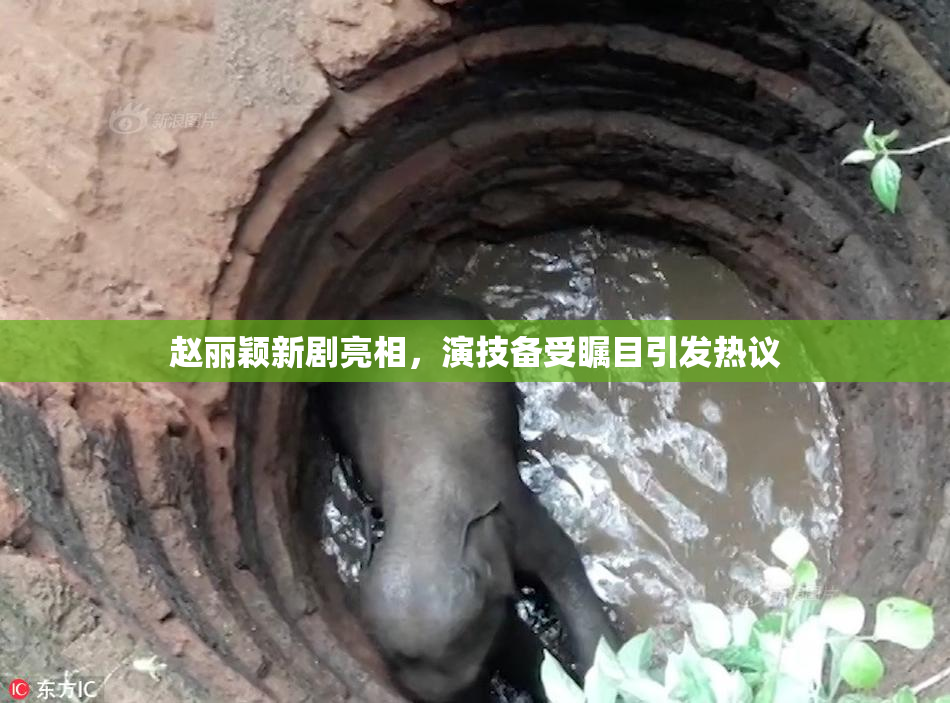 赵丽颖新剧亮相，演技备受瞩目引发热议
