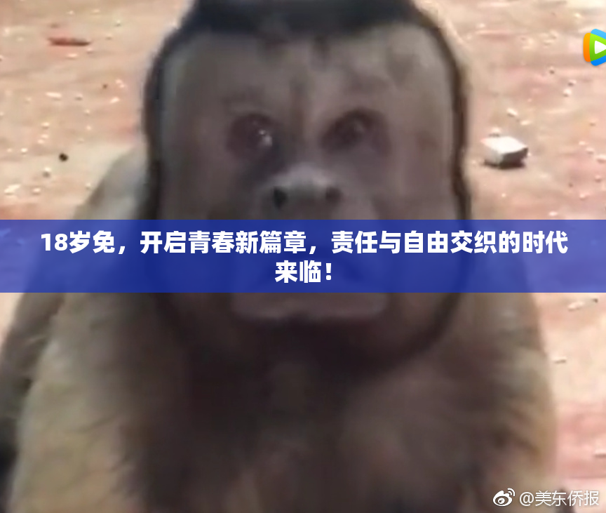 18岁免，开启青春新篇章，责任与自由交织的时代来临！