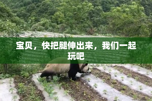 宝贝，快把腿伸出来，我们一起玩吧