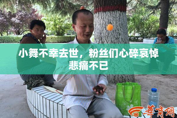 小舞不幸去世，粉丝们心碎哀悼悲痛不已