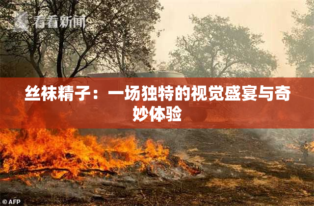 丝袜精子：一场独特的视觉盛宴与奇妙体验
