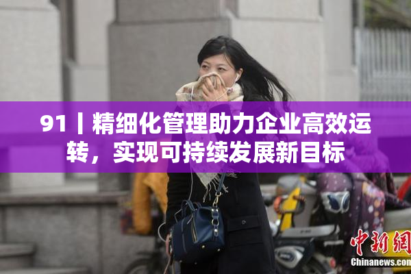 91丨精细化管理助力企业高效运转，实现可持续发展新目标