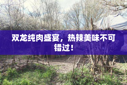 双龙纯肉盛宴，热辣美味不可错过！