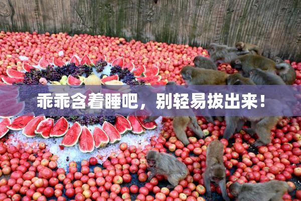 乖乖含着睡吧，别轻易拔出来！