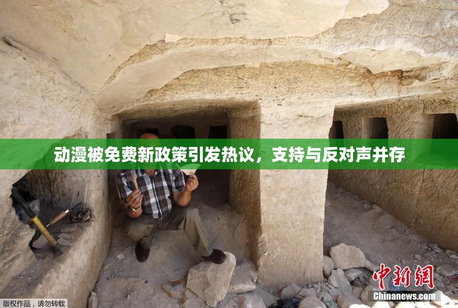 动漫被免费新政策引发热议，支持与反对声并存