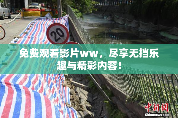 免费观看影片ww，尽享无挡乐趣与精彩内容！