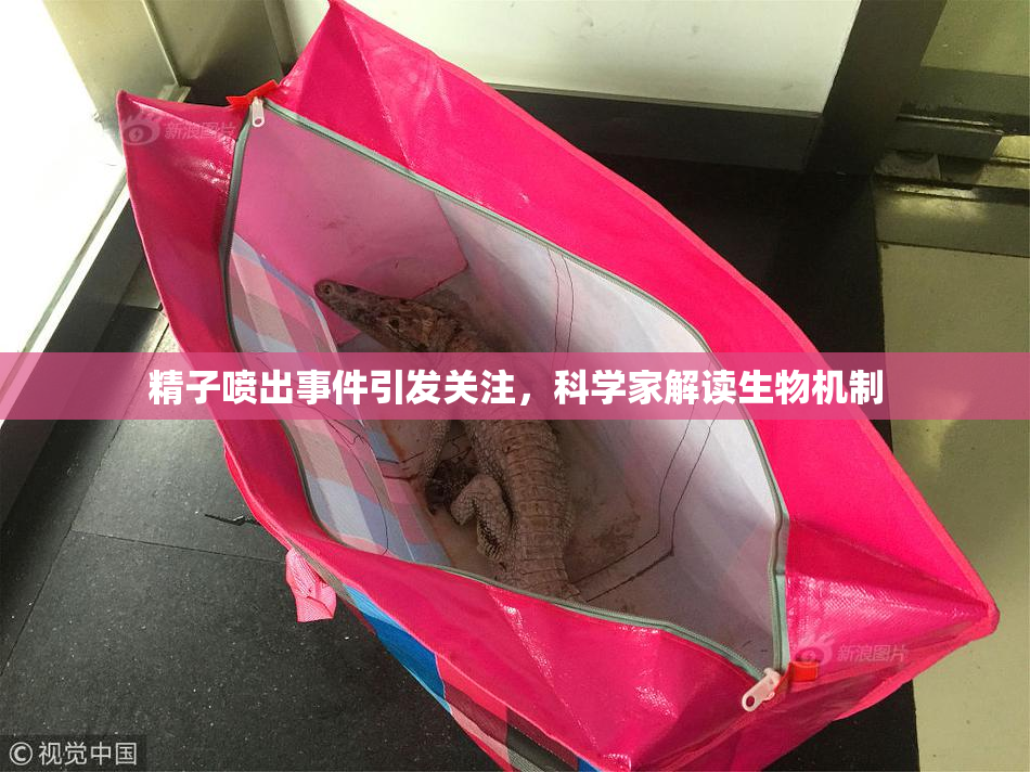 精子喷出事件引发关注，科学家解读生物机制