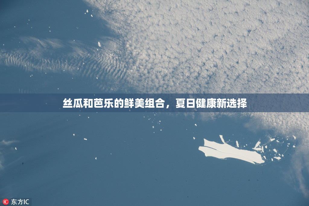 丝瓜和芭乐的鲜美组合，夏日健康新选择