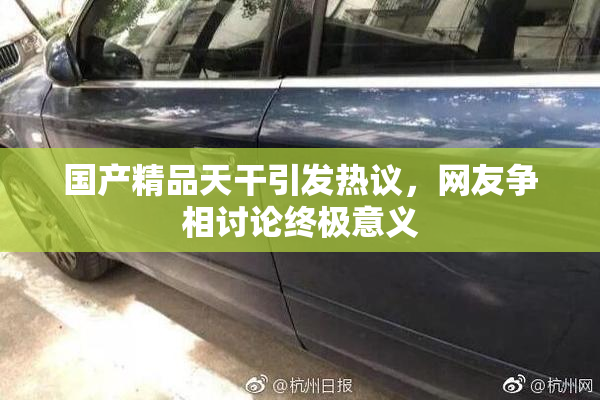 国产精品天干引发热议，网友争相讨论终极意义