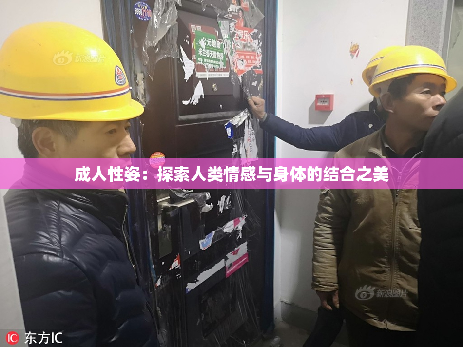 成人性姿：探索人类情感与身体的结合之美