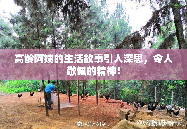 高龄阿姨的生活故事引人深思，令人敬佩的精神！