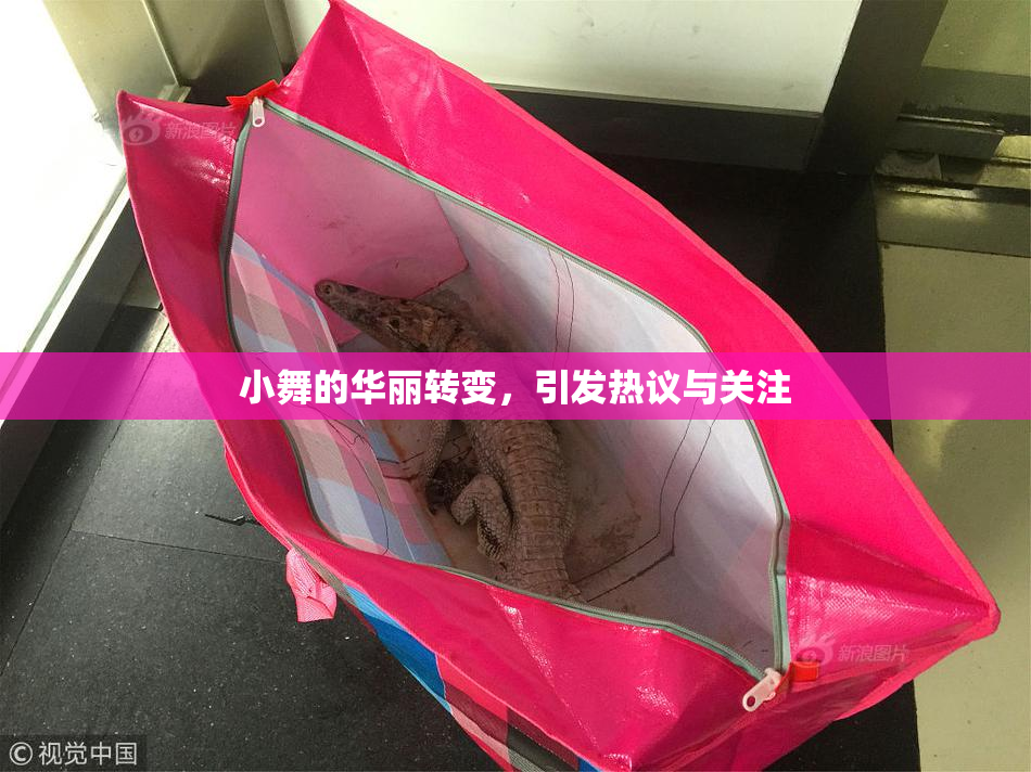 小舞的华丽转变，引发热议与关注