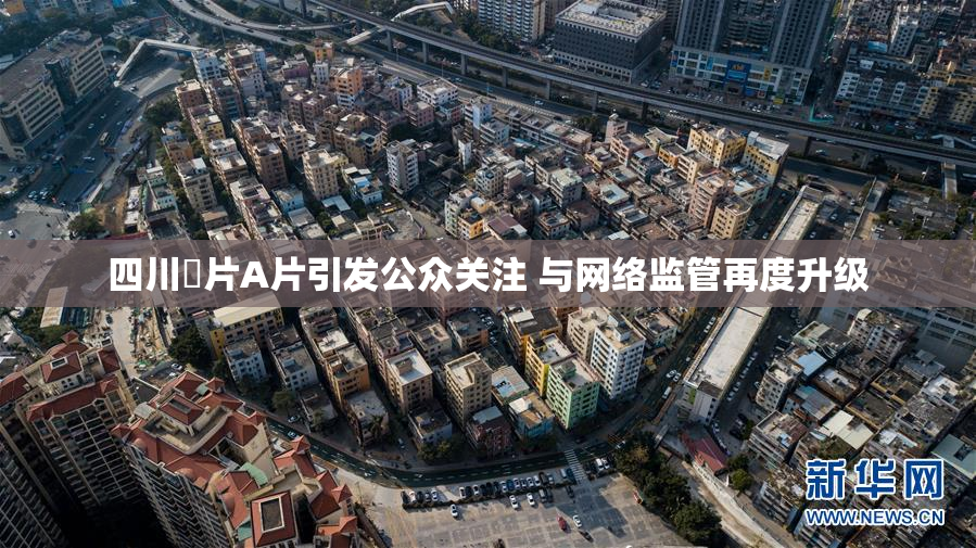 四川婬片A片引发公众关注 与网络监管再度升级